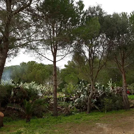 Casa Nicoletta * Isola di Ustica